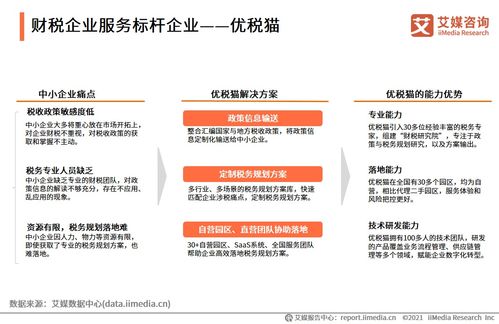 2021上半年中國財(cái)稅企業(yè)服務(wù)市場洞察 數(shù)字化驅(qū)動(dòng)下的信息咨詢服務(wù)新格局
