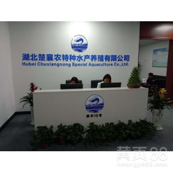 荊州工廠化養(yǎng)殖白對蝦廠 開啟現(xiàn)代化高效水產(chǎn)養(yǎng)殖新篇章